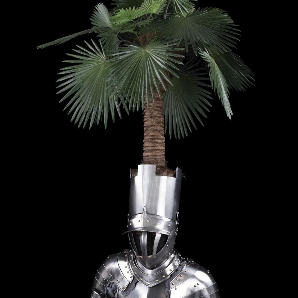 Cropped image of Lorraine O'Grady's photograph 'Announcement Card 3 (Seated Palmate)' (2020). Man in knight armor with palm tree on top of mask.